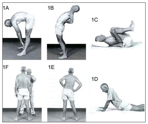 Dynamic Loading Strategies Applied To The Spine In The McKenzie Method Download Scientific