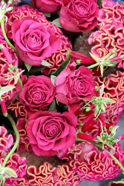 Free Images Petal Pink Flora Top View Bouquet Of Roses Floristry