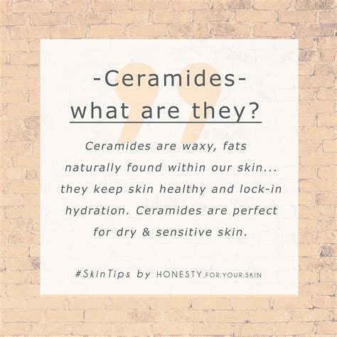 What Are Ceramides And How Can They Benefit Your Skin Ceramides Are A