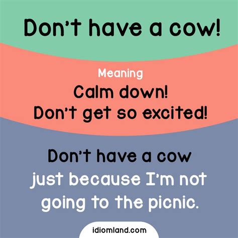 Idiom Of The Day Dont Have A Cow Meaning Calm Down Dont Get So