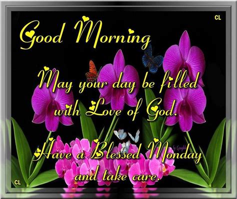 Good Morning Have A Blessed Monday Pictures Photos And Images For