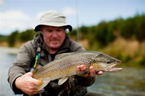 Fly Fishing New Zealand 2025 Trips Booking Now