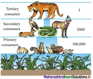 Maharashtra Board Class 12 Biology Important Questions Chapter 14