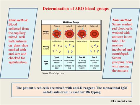 Determination Of Abo And Rh Blood Groups Labmonk