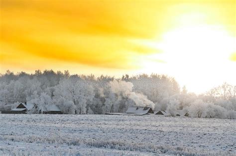 Yellow Sky Sunrise Stock Image Image Of Winter White 108805871