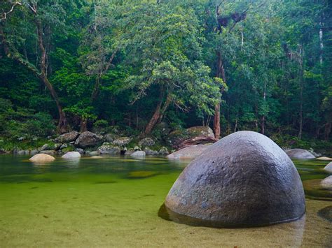 Visiting Safely Mossman Gorge Daintree National Park Parks And