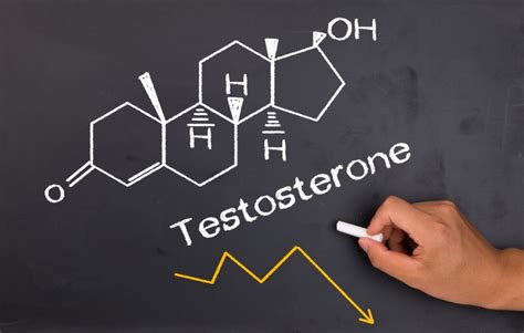The Truth About Testosterone And Its Functions Fupping
