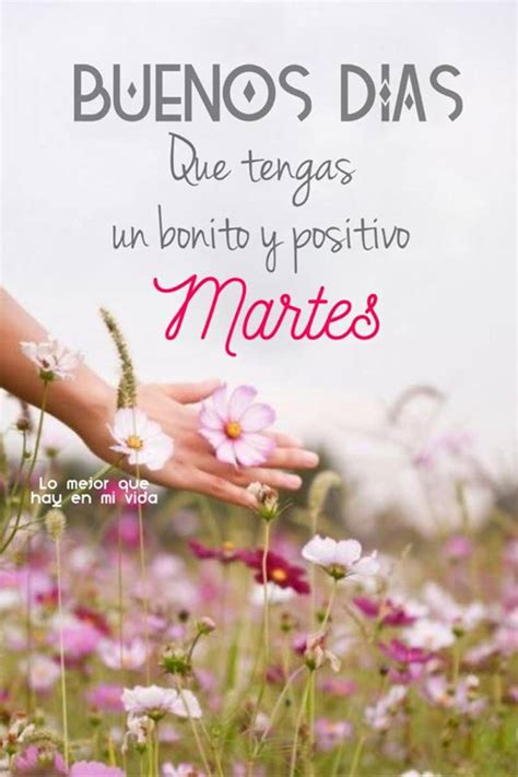 Feliz Martes imágenes bonitas - BonitasImagenes.net