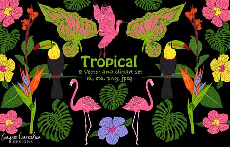 Tropical Vector Set With 8 X Clipart ~ Illustrations ~ Creative Market