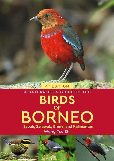 A Naturalists Guide To The Birds Of Borneo Sabah Sarawak Brunei And