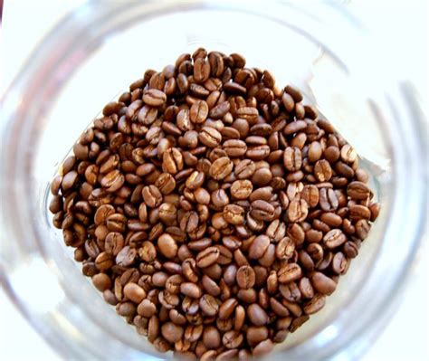 Can You Eat Straight Coffee Beans Items E Zine Picture Gallery