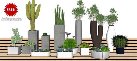 Free 3d Models Vegetation 14 Sketchup 3d Plants In Pots