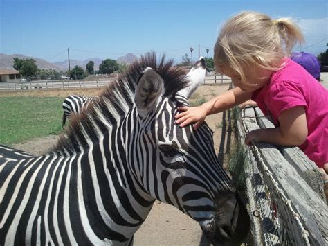 Kindlasti on neil ka muid nõuandeid ja soovitusi. Top 10 Things To Do In Hemet (CA) - Page 10 of 10 - The ...