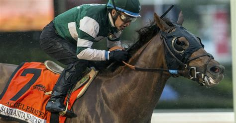 Accelerate tops entries for 14-horse Breeders' Cup Classic