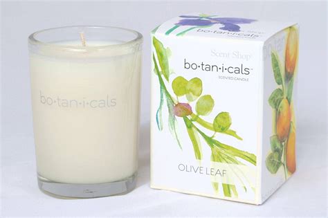 Wholesale Olive Leaf Scented Candle Olive Leaf Candles Scented Candles