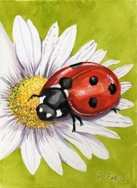 Ladybug On Daisy Drawing Google Search Flower Art Painting Ladybug