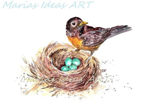 Robin Art American Robin Print Birds Nest Bird In Nest Etsy