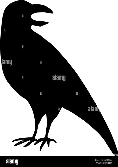 Black Crow Silhouette Isolated On White Background Black Bird Raven