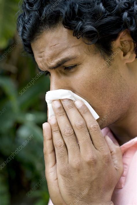 Man Sneezing Stock Image F001 0644 Science Photo Library