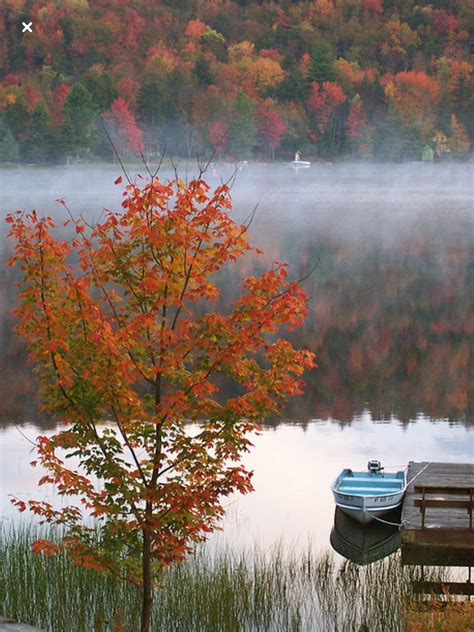 Foggy Morning By Jan On Fall Fall Pictures Nature