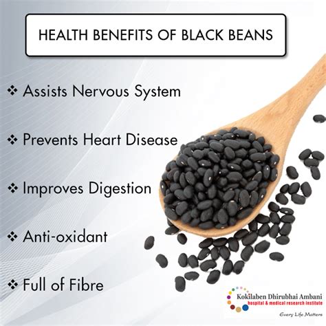 Benefits Of Black Beans Health Tips From Kokilaben Hospital