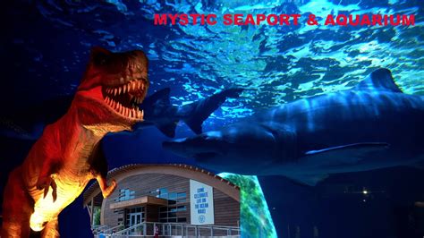 Mystic Aquarium And Seaport Our Fun And Not So Fun Time In Mystic Ct Youtube
