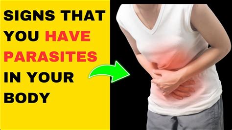 Don T Ignore These Early Symptoms Of Parasites In Your Body Youtube