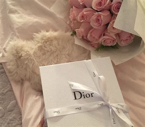 Pin By 𝒜 On Christian Dior Dior Aesthetic Classy Aesthetic Dream T