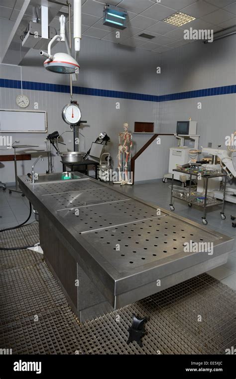 Mesa De Autopsia En La Morgue Fotografía De Stock Alamy