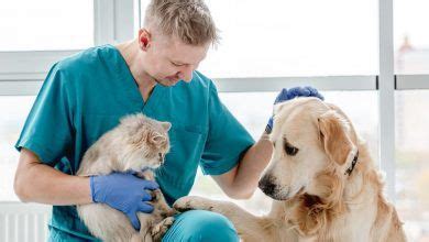 World Vet Nurses Day Wishes Messages Quotes And Hd Images Veterinary Colleges