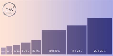 The Guide For Beginner To Standard Photo Sizes