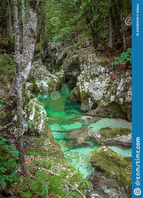 Mostnica Gorge In Slovenia Stock Image Image Of Mostnica 245369549