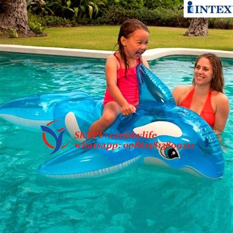 Buy Intex 60 Lil Little Whale Ride On Water Toys