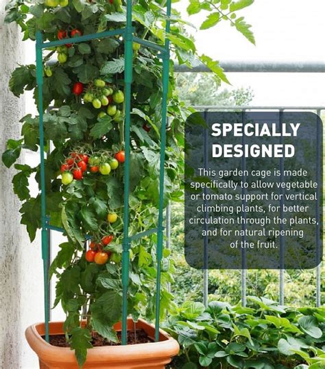 Tomato Plant Support Cages Grow Green Food