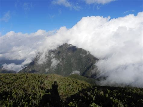 Derived from the spanish word pico, (peak beak, little bit), pico is one of the original twelve prefixes defined in 1960 when the international system of units (si). Lazer Paraná: Pico Caratuva