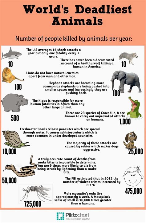 Katies World Infographic Worlds Deadliest Animals