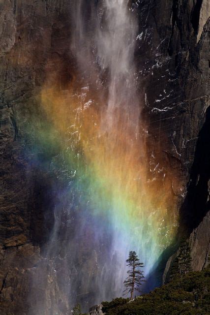 A Rainbow Emerges From The Mist Of Yosemite Falls Yosemite National