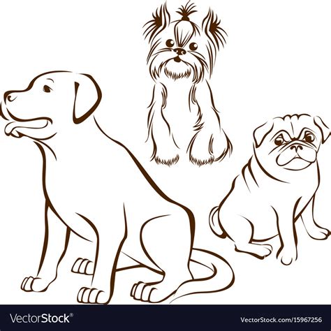 Set Dogs Breeds Royalty Free Vector Image Vectorstock