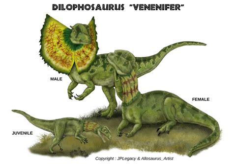Dilophosaurus Venenifer Return To New Lands Wikia Fandom Jurassic