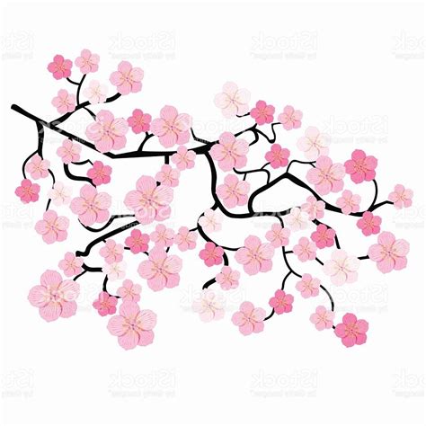 Simple Cherry Blossom Drawing At