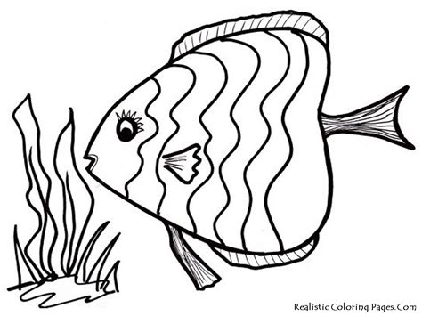 Ocean Fish Coloring Pages | Realistic Coloring Pages