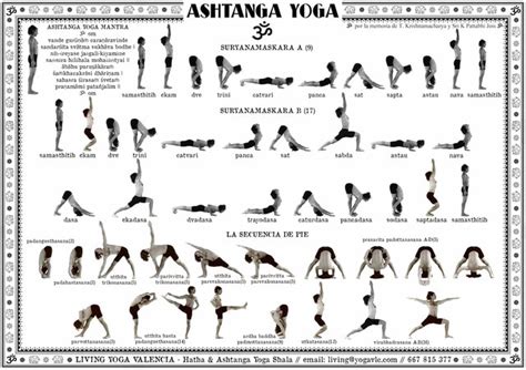 Ananda Marga Yoga Asanas Chart - Ananda Marga Yoga Postures Asanas Illustration Posters Classic Canvas