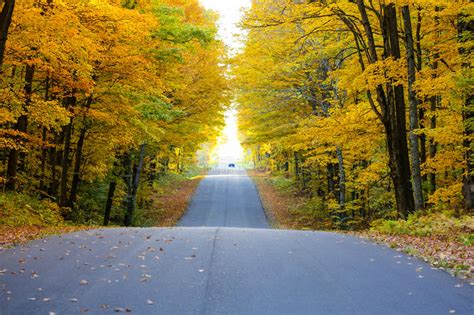 Road In Autumn Stock Photo Image Of Vivid Green Wooded 80854642