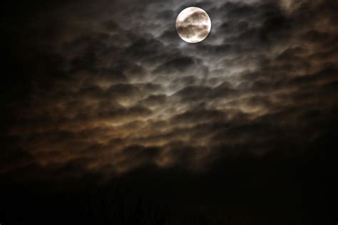 Night Full Moon Free Photo On Pixabay
