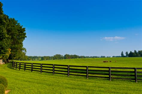 Pasture And Soil Management Pasturas Los Alazanes