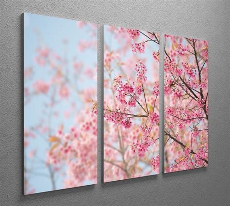 Cherry Blossom 3 Split Panel Canvas Print Canvas Art Rocks