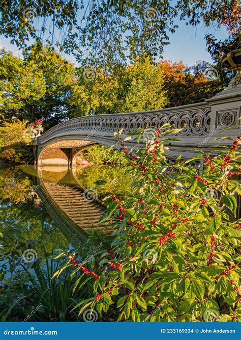 Bow Bridge Central Park In Early Autumnow Bridge Editorial Stock