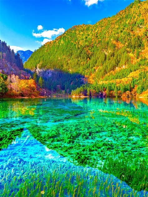 A Guide To Visit The Dreamlike Jiuzhaigou National Park China