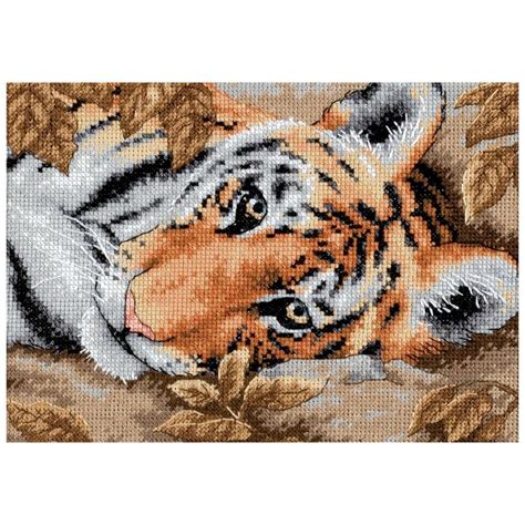 Beguiling Tiger Counted Cross Stitch Kit X Count Cross Stitch