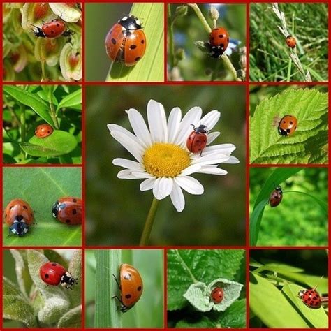 Une alerte enlèvement a été émise pour retrouver trois frères et sœurs âgés de 5 à 10 ans disparus ce la gendarmerie lance ce soir une alerte enlèvement pour retrouver trois enfants disparus ce. ♥ Chez Yvonne ♥ C'est tout pour vous ♥ - Page 2401